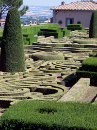 sculpted garden